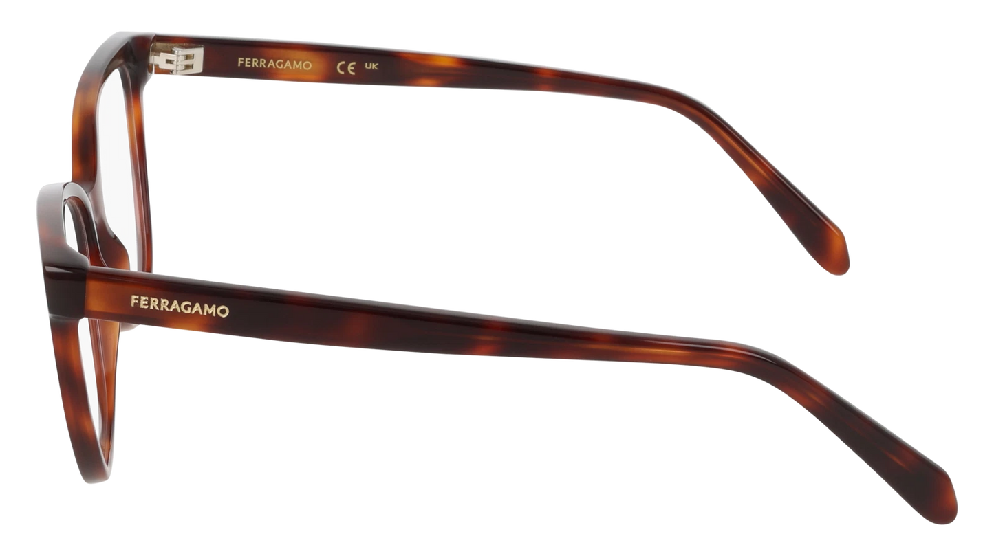 Salvatore Ferragamo SF3062-240-5416 54mm