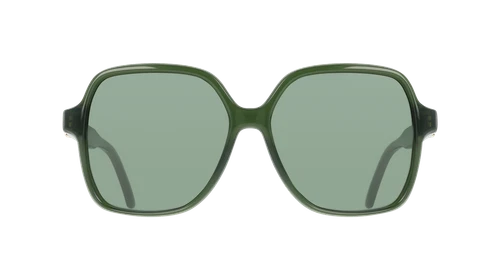 Salvatore Ferragamo SF2069SE-317-5715 57mm New Sunglasses