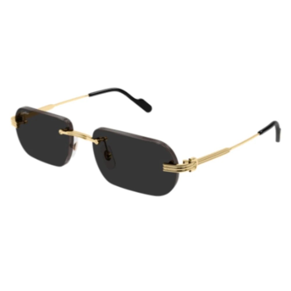 Cartier CT0616S-001 54mm