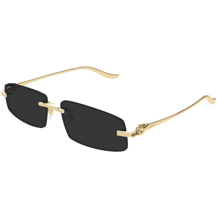 Cartier CT0505S-001 58mm