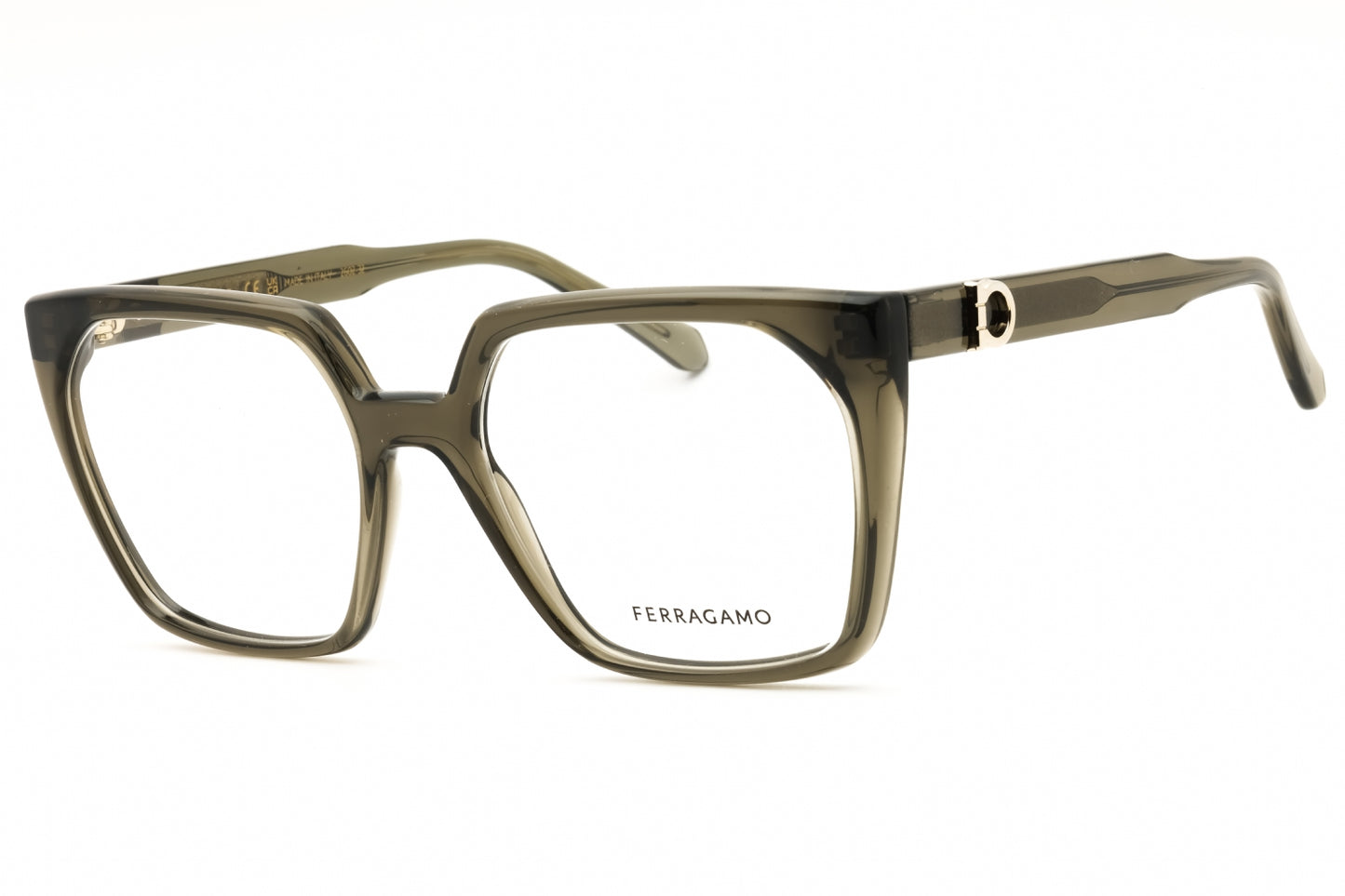 Salvatore Ferragamo SF3042E-320 55mm