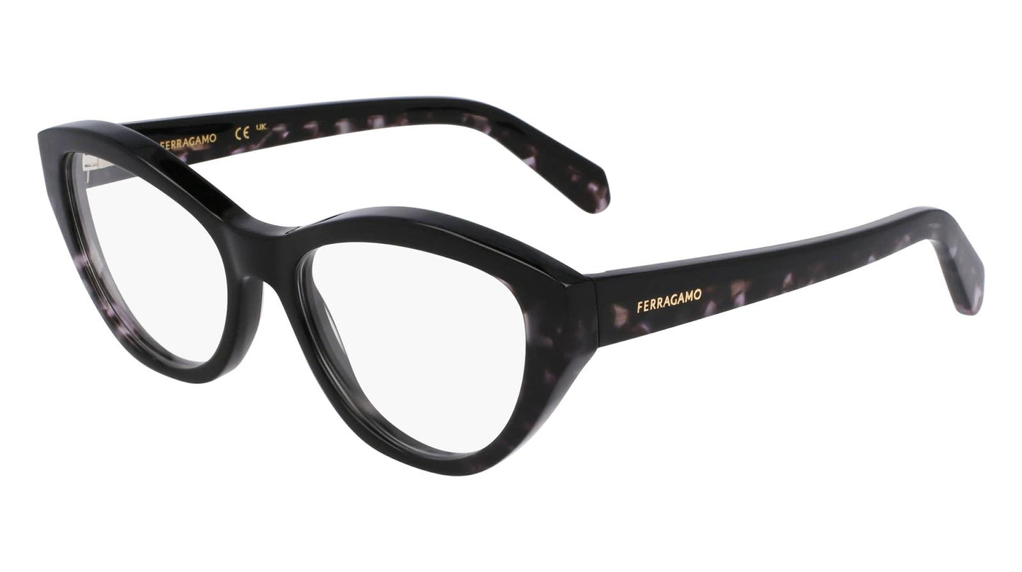 Salvatore Ferragamo SF3011-004-5317 53mm