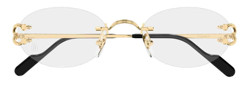 Cartier CT0448o-002 60mm
