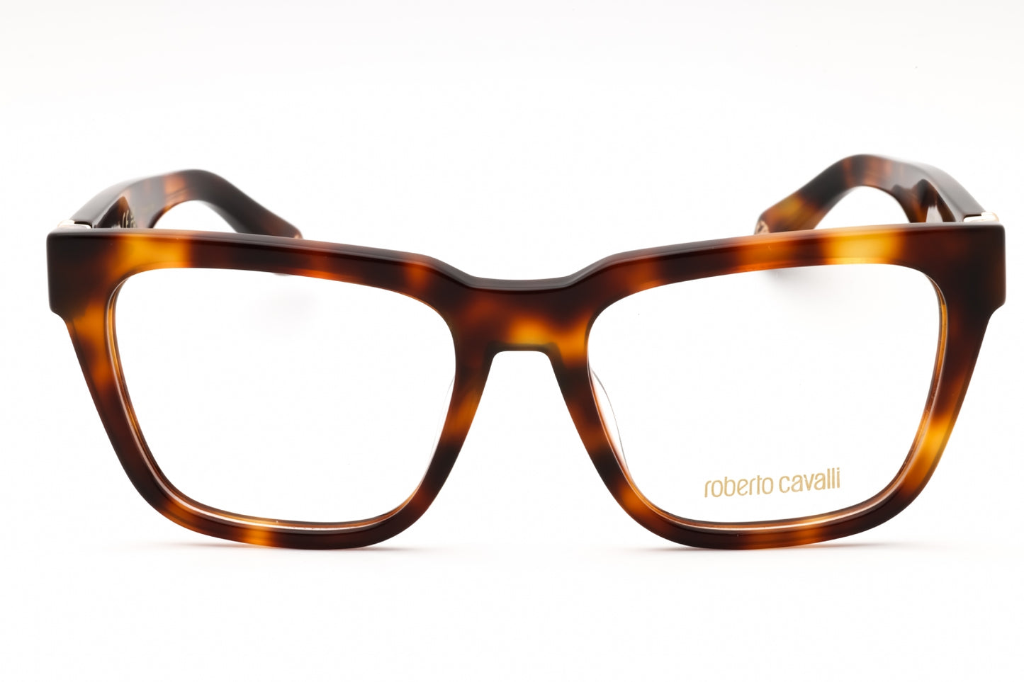 Roberto Cavalli VRC026M-02BP 54mm