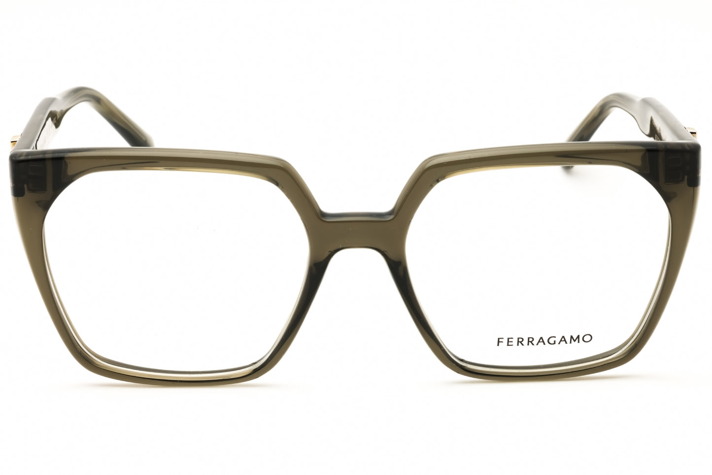 Salvatore Ferragamo SF3042E-320 55mm