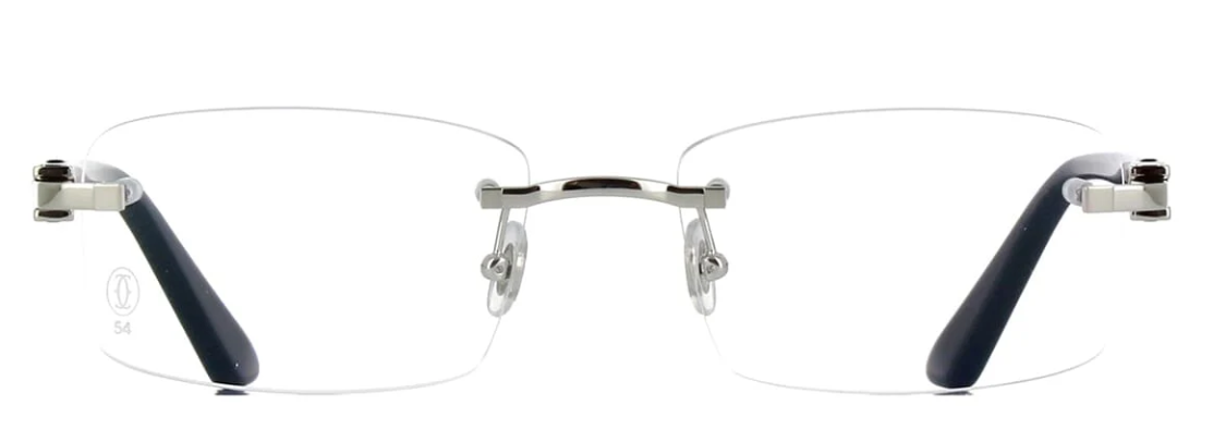 Cartier CT0287o-004 54mm