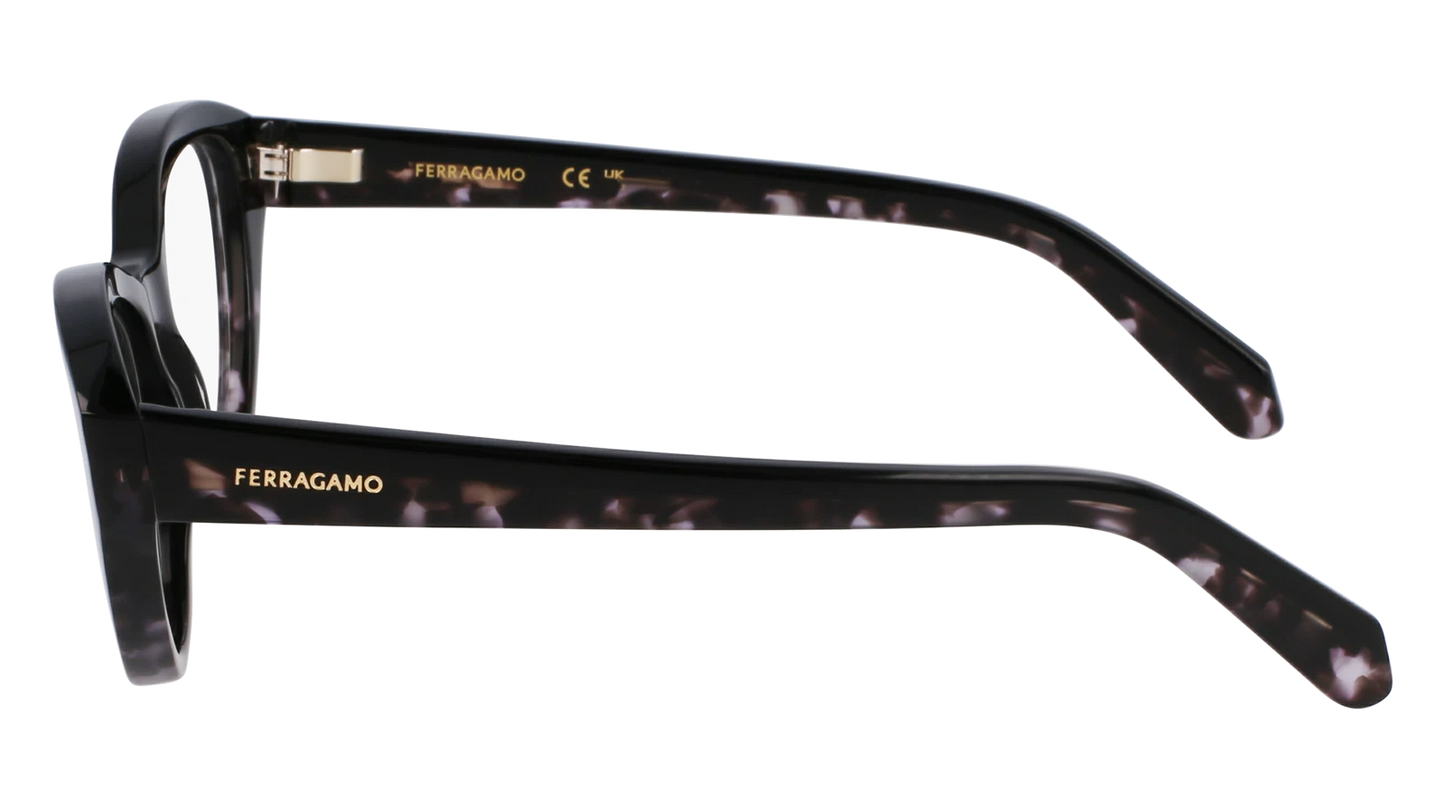 Salvatore Ferragamo SF3011-004-5317 53mm
