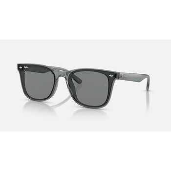 Ray-Ban RB4391D 645087 65 65mm