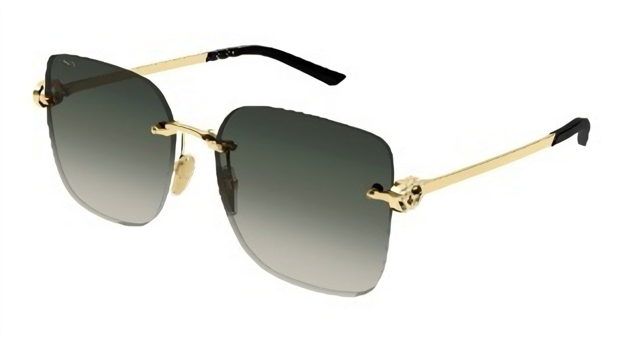 Gucci GG2229SA-005 60