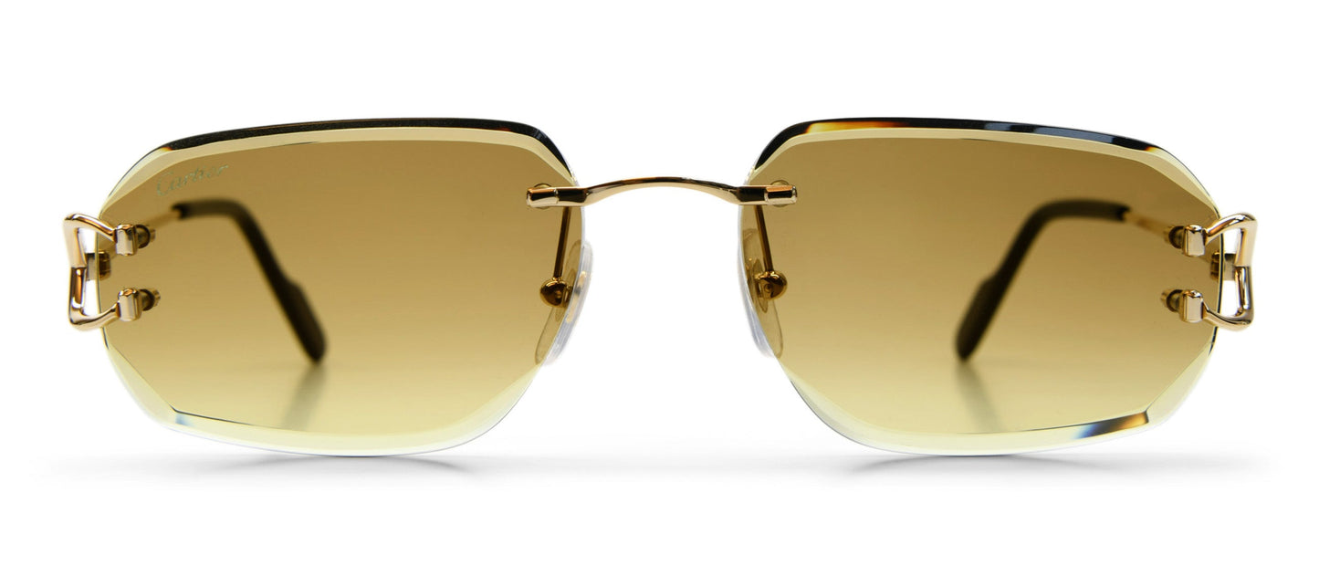 Cartier CT0468S-004 58mm
