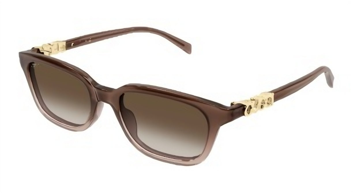 Gucci GG2208S-004 53