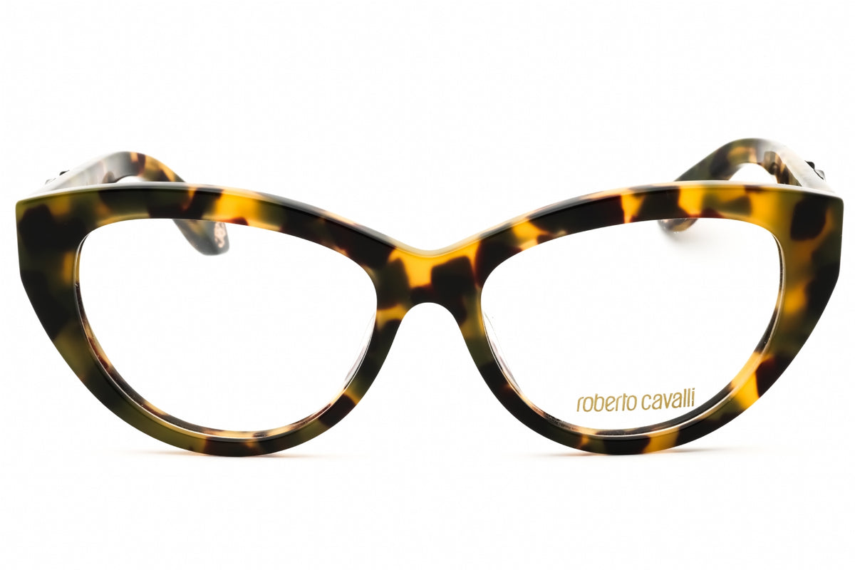 Roberto Cavalli VRC024M-0AGG 53