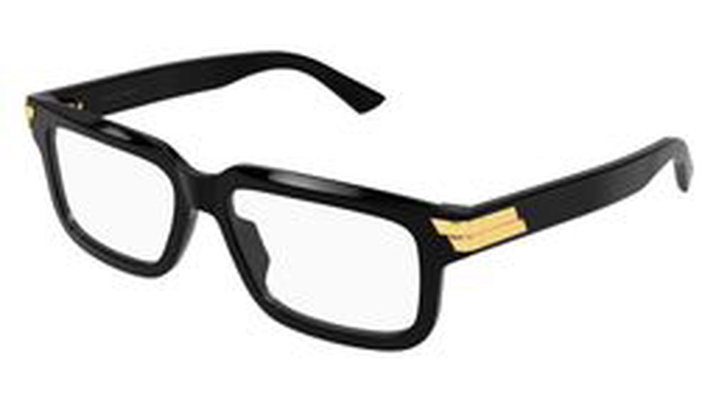 Bottega Veneta BV1499o-005 54