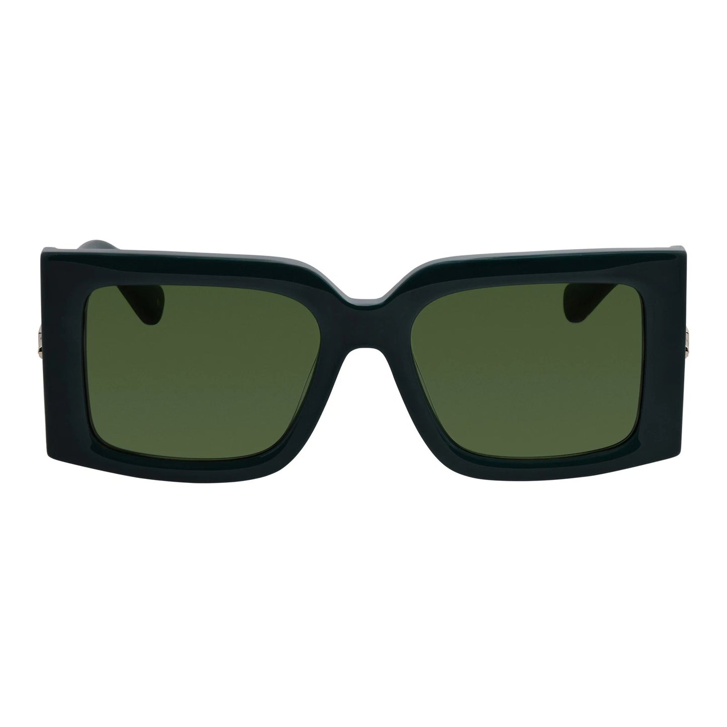 Salvatore Ferragamo SF2032S-302-5519 55mm New Sunglasses