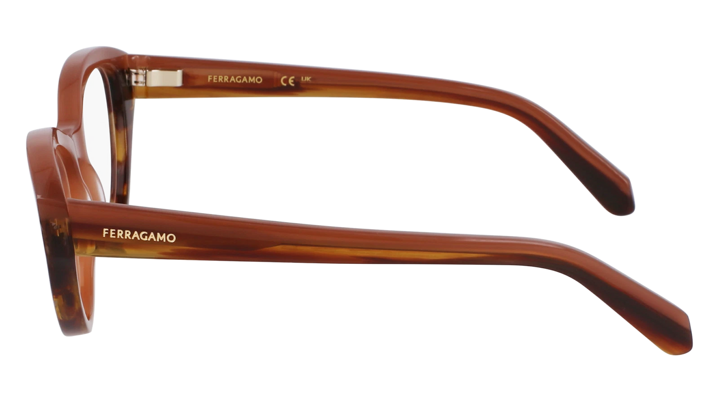 Salvatore Ferragamo SF3011-254-5317 53mm