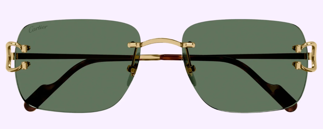 Cartier CT0330S-005 59mm