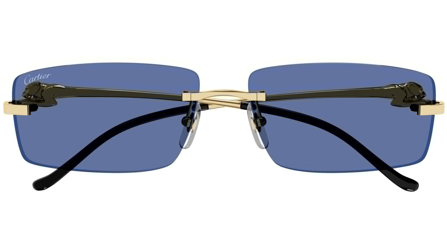 Cartier CT0430S-004 58mm