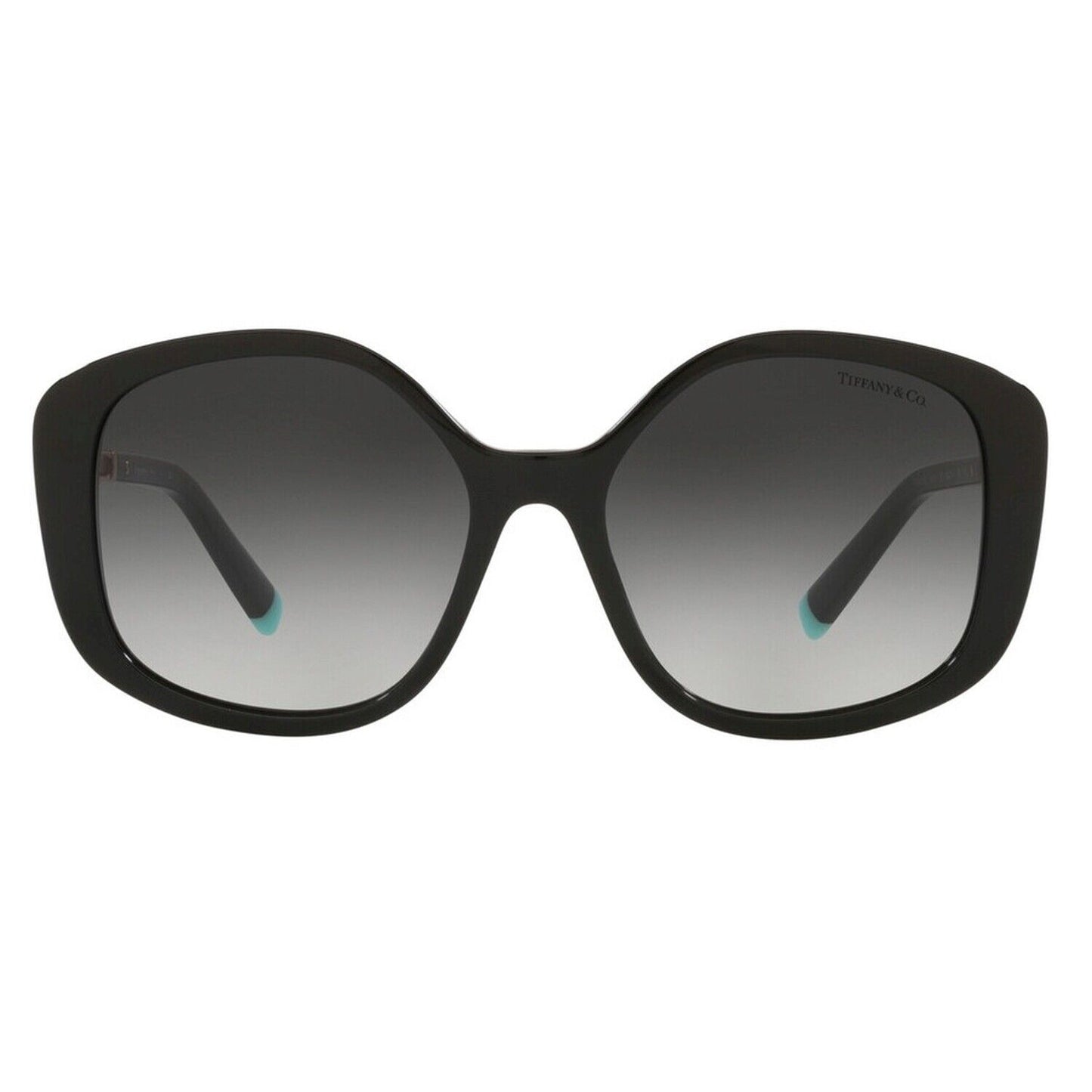 Tiffany & Co TF4192-80013C-54