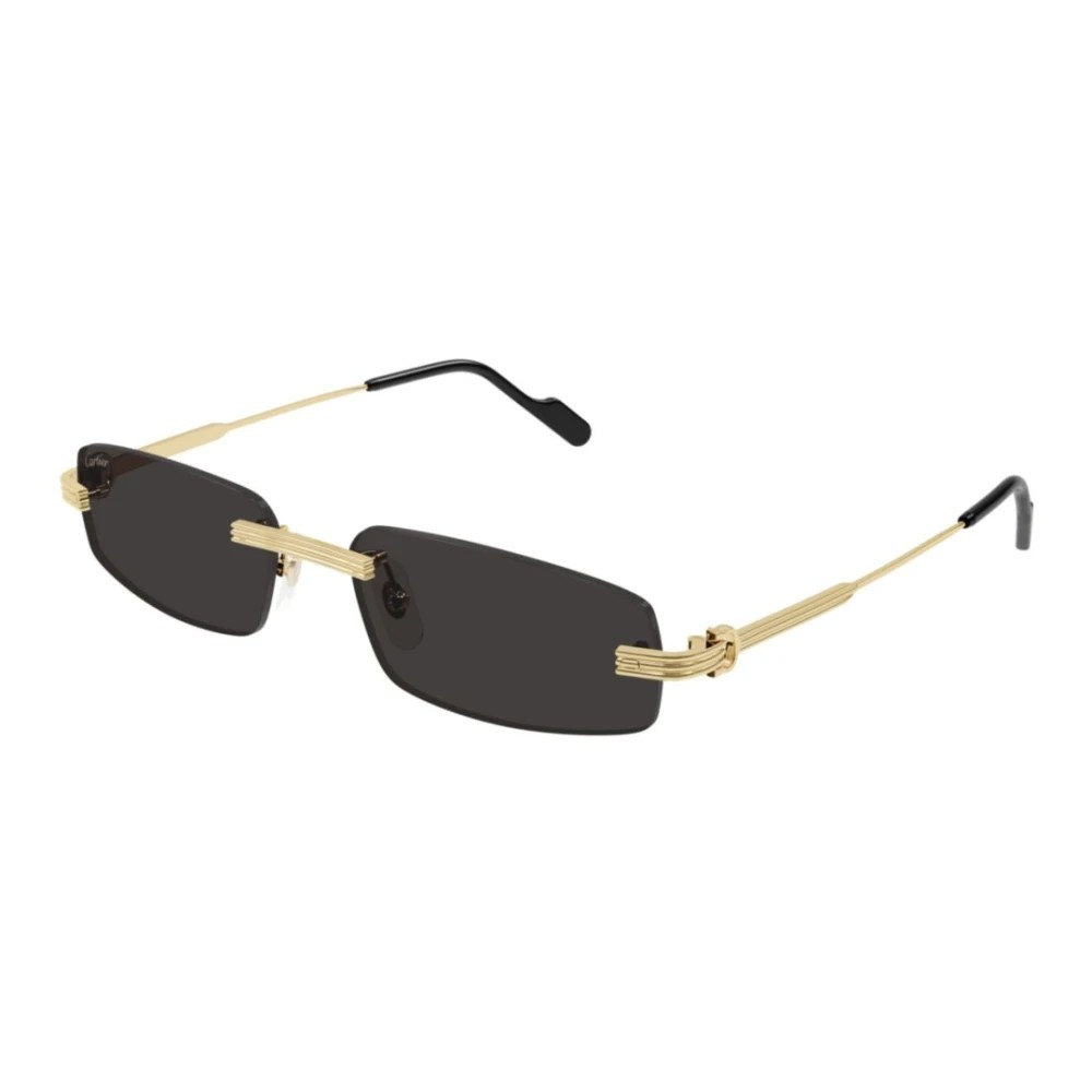 Cartier CT0535S-001 57mm New Sunglasses