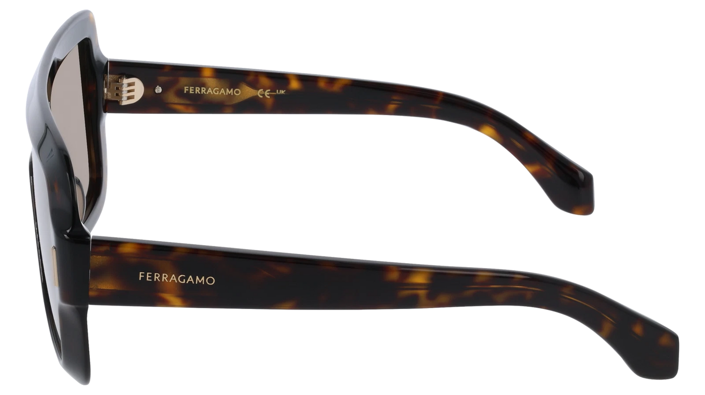 Salvatore Ferragamo SF2061SE-242-5520 55mm New Sunglasses