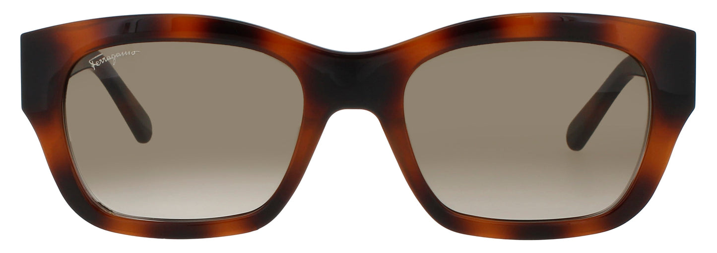 Salvatore Ferragamo SF1012S-214 53mm