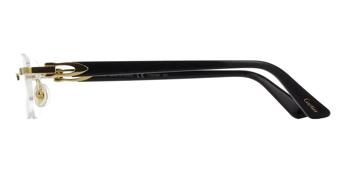 Cartier CT0318o-001 52mm
