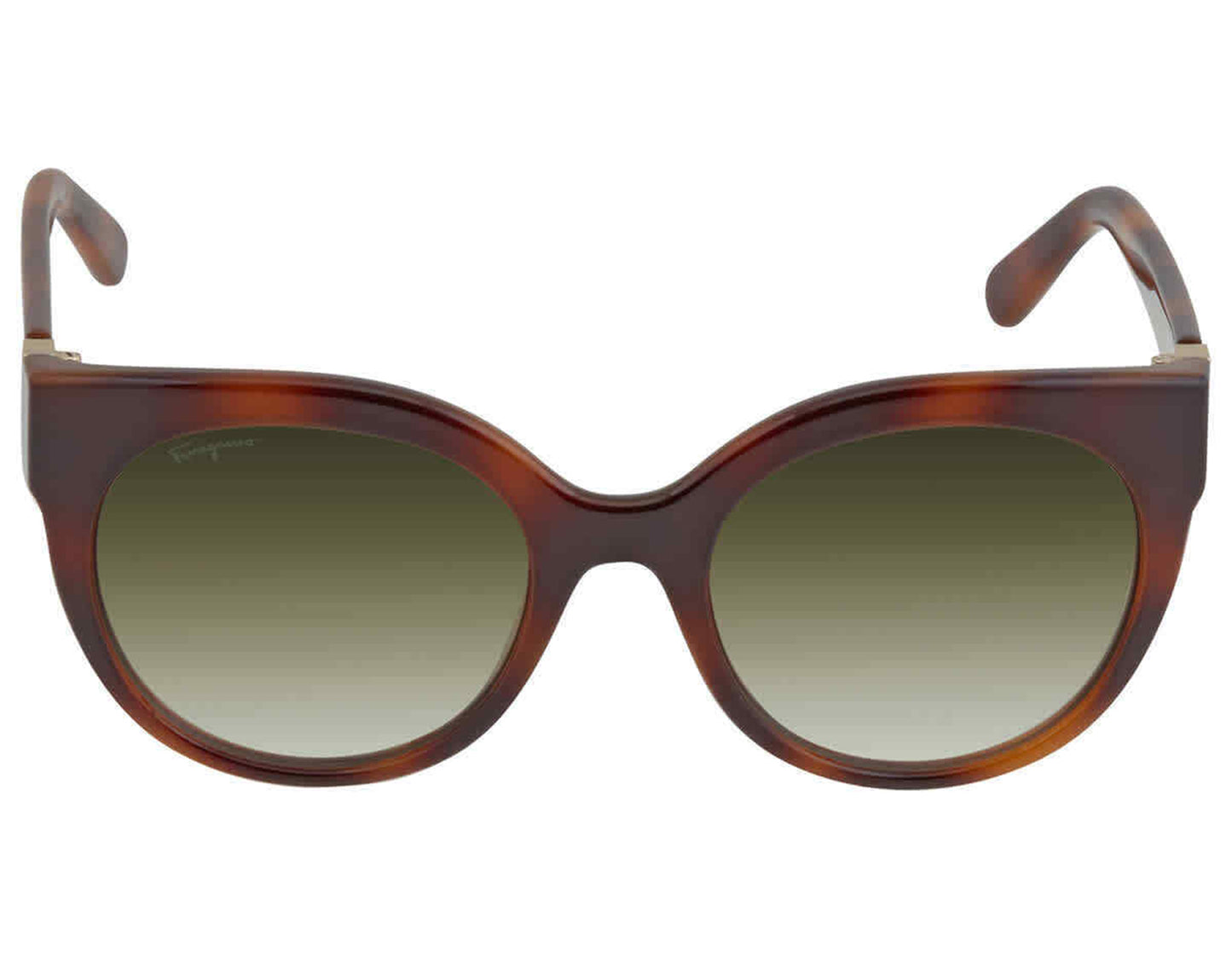 Salvatore Ferragamo SF1031S-214  New Sunglasses