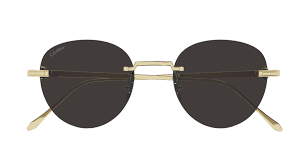 Cartier CT0331S-002 51mm New Sunglasses