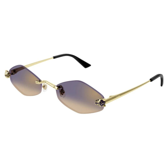Cartier CT0433S-005 55mm New Sunglasses