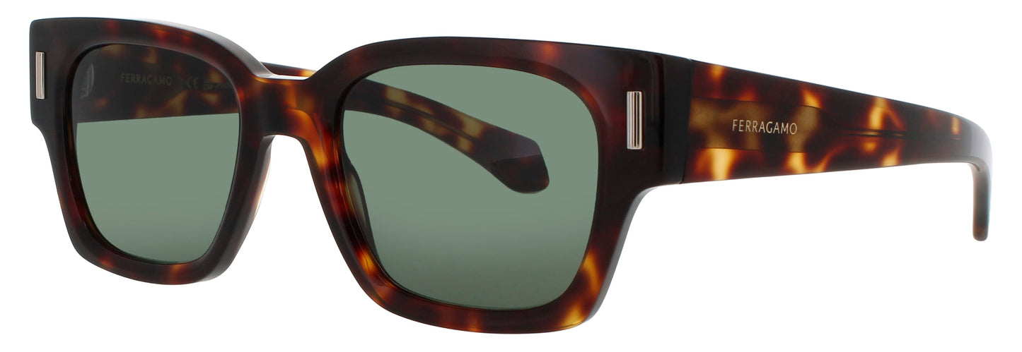 Salvatore Ferragamo SF2010S-242 52mm