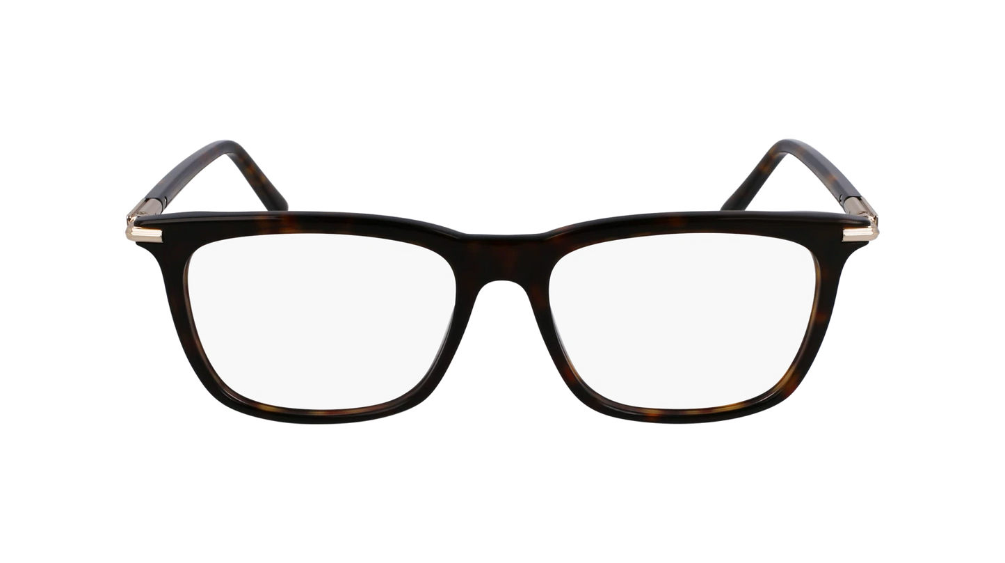 Salvatore Ferragamo SF3007-242-5317 53mm