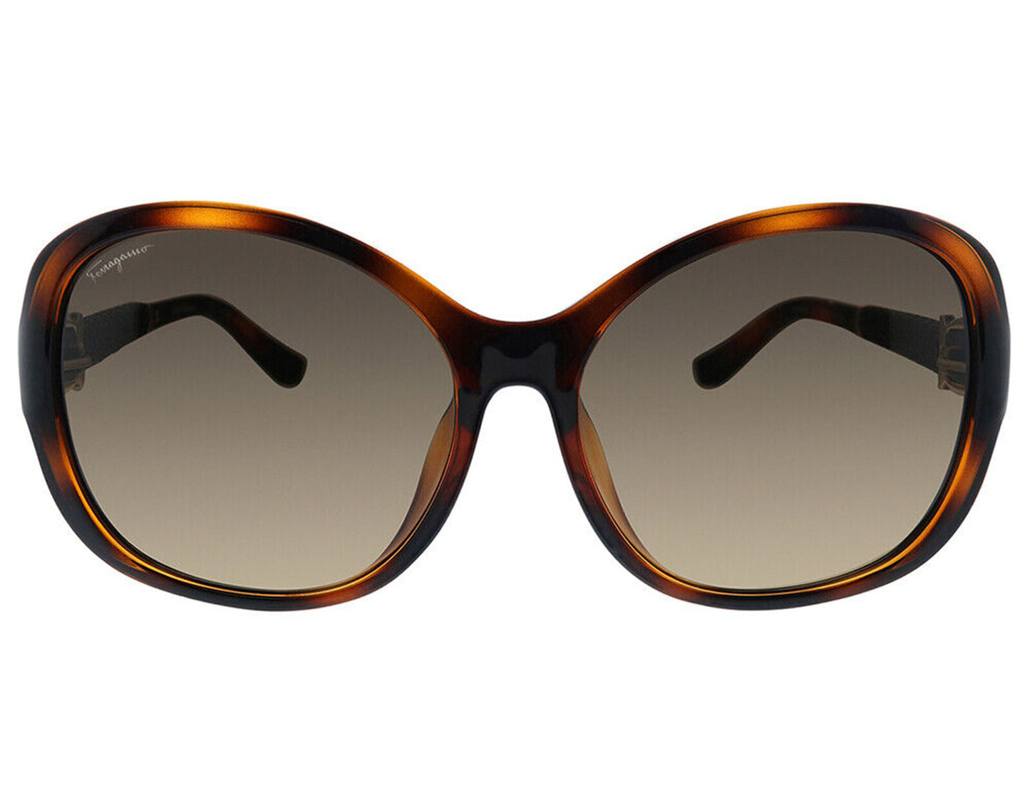 Salvatore Ferragamo SF744SLA-214 59mm New Sunglasses