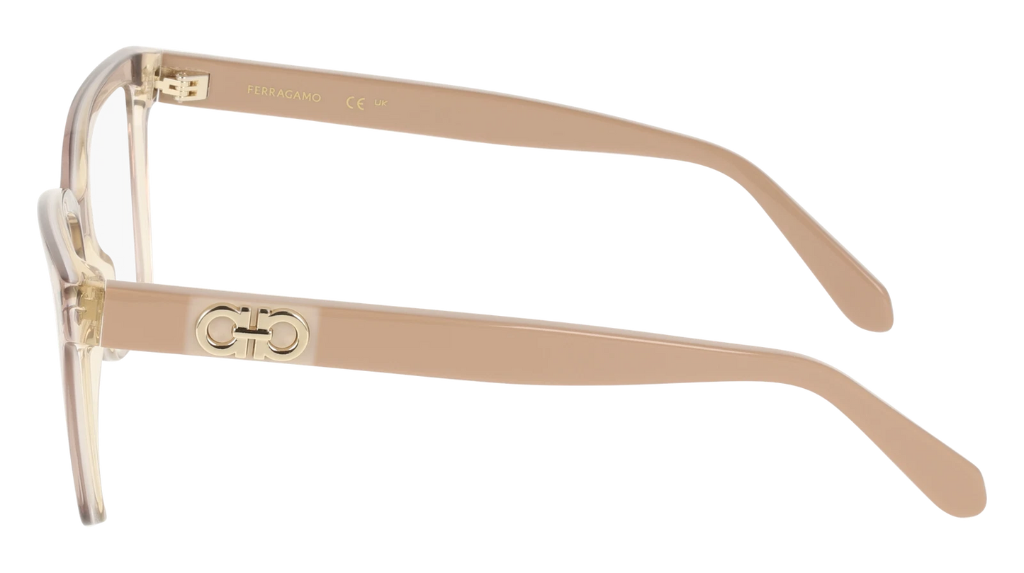 Salvatore Ferragamo SF3060-260-5416 54mm