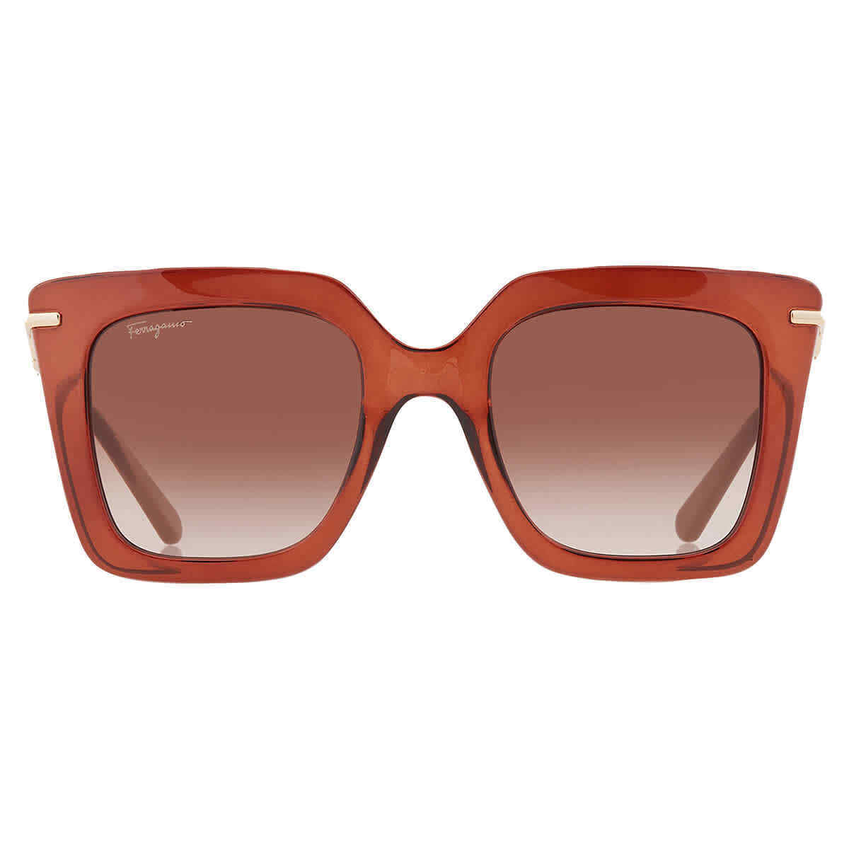 Salvatore Ferragamo SF1041S-232 51mm New Sunglasses
