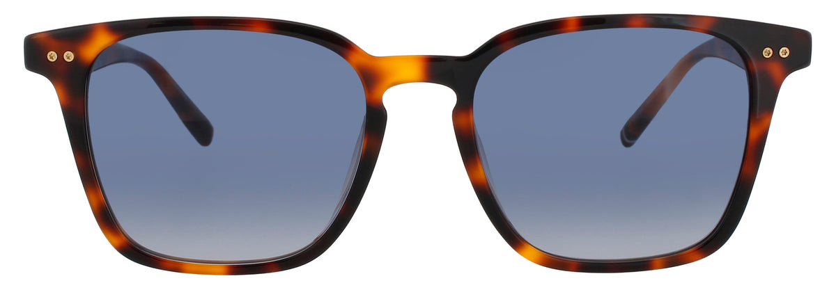 Tommy Hilfiger TH-2158/S-086/08 HAVANA  Women's Sunglasses 52mm
