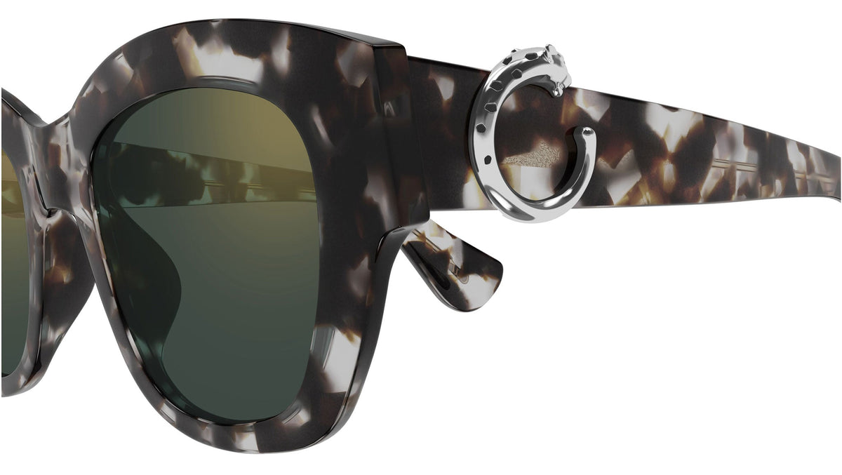 Cartier CT0547S-004 52