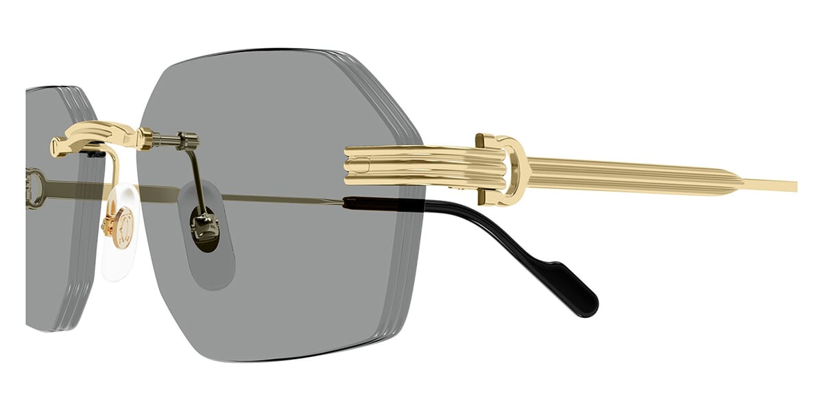 Cartier CT0616S-004 54mm