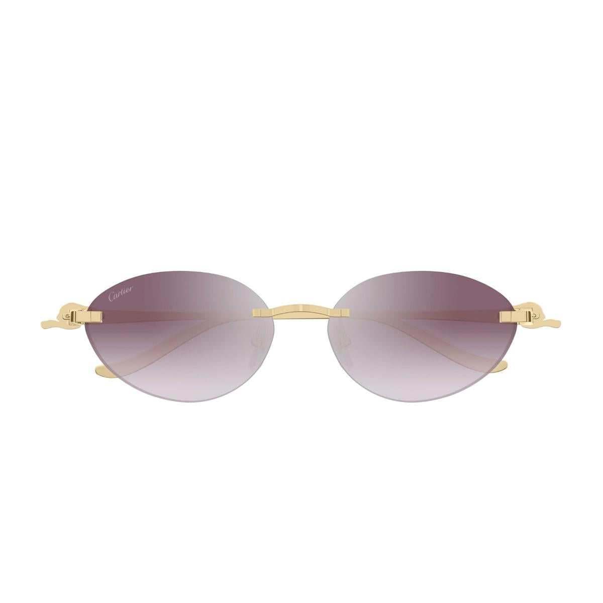 Cartier CT0504S-004 58mm New Sunglasses