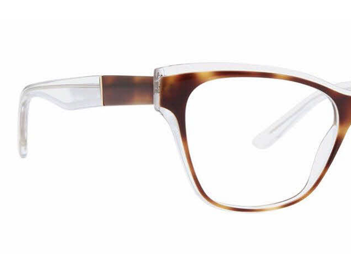 Xoxo XO TELLURIDE TORTOISE 52mm New Eyeglasses