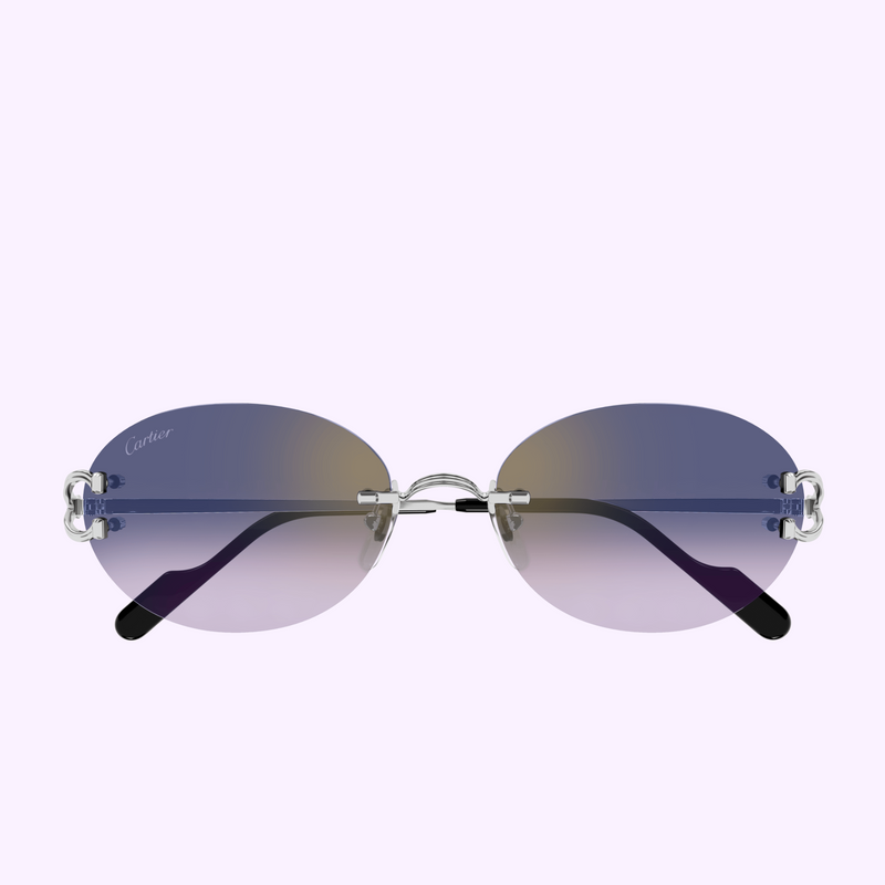 Cartier CT0551S-003 55mm New Sunglasses