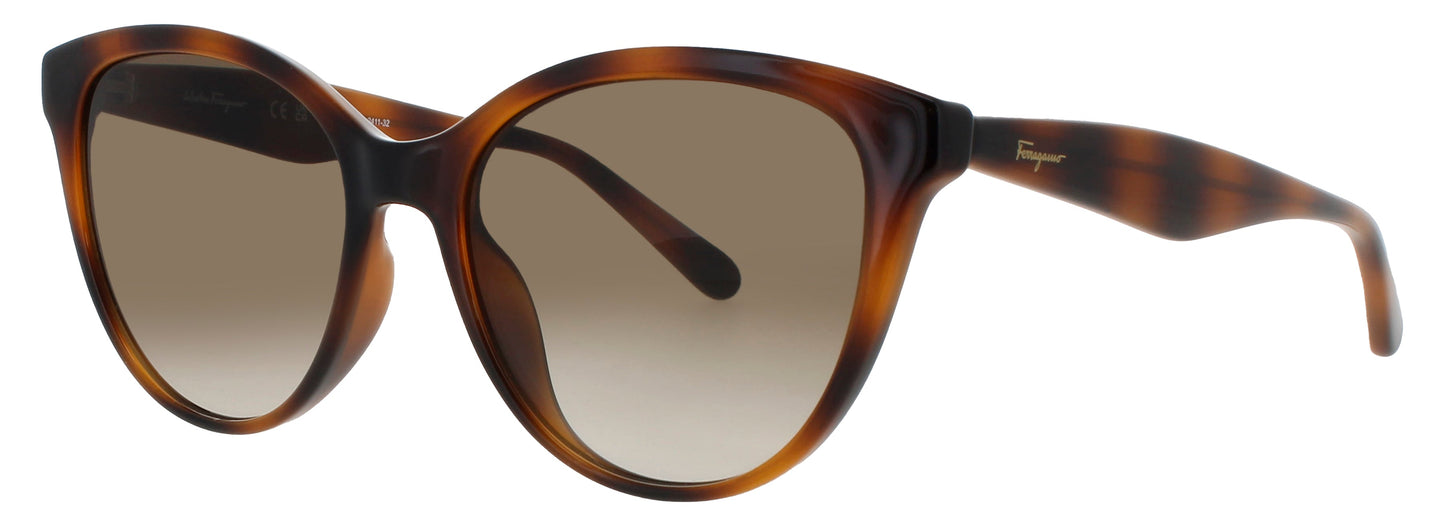 Salvatore Ferragamo SF1073S-240 54mm