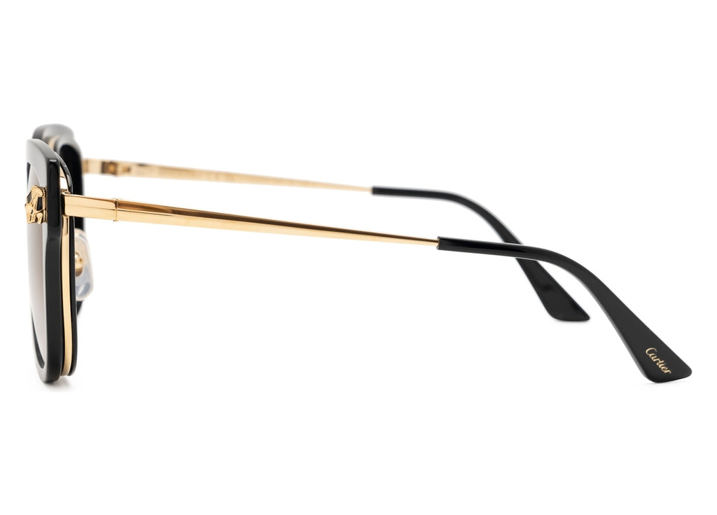 Cartier CT0509SA-001 55mm New Sunglasses