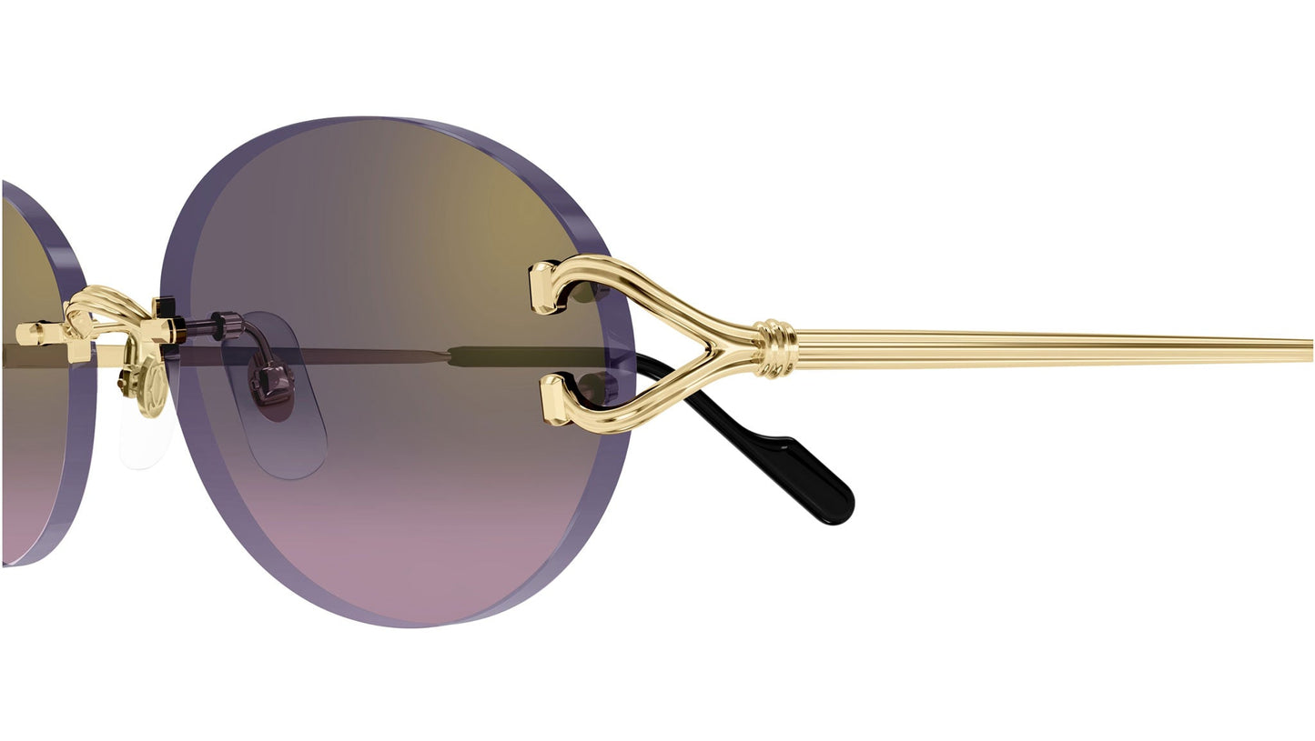 Cartier CT0551S-004 55mm New Sunglasses