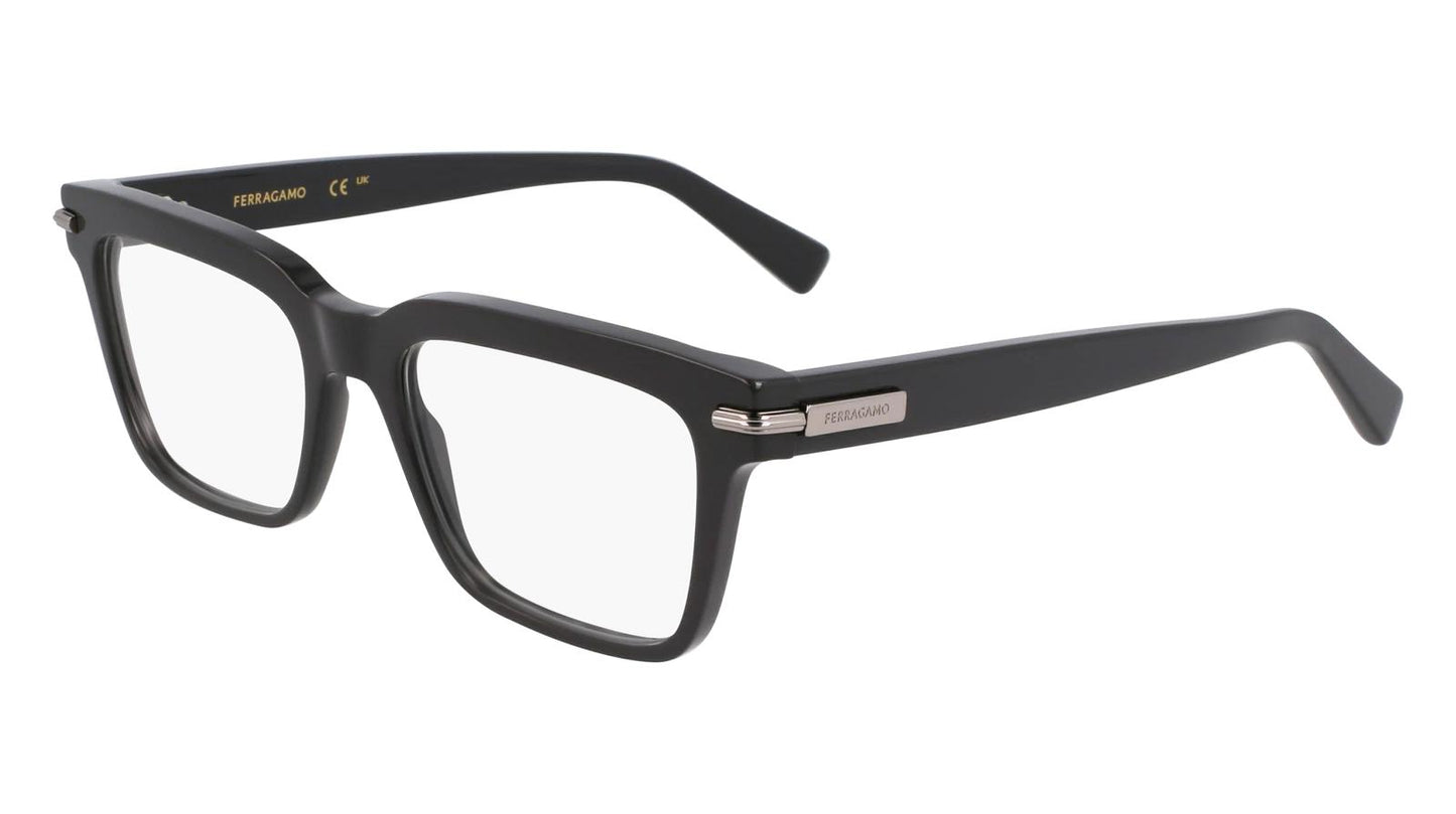 Salvatore Ferragamo SF3014-019-5518 55mm