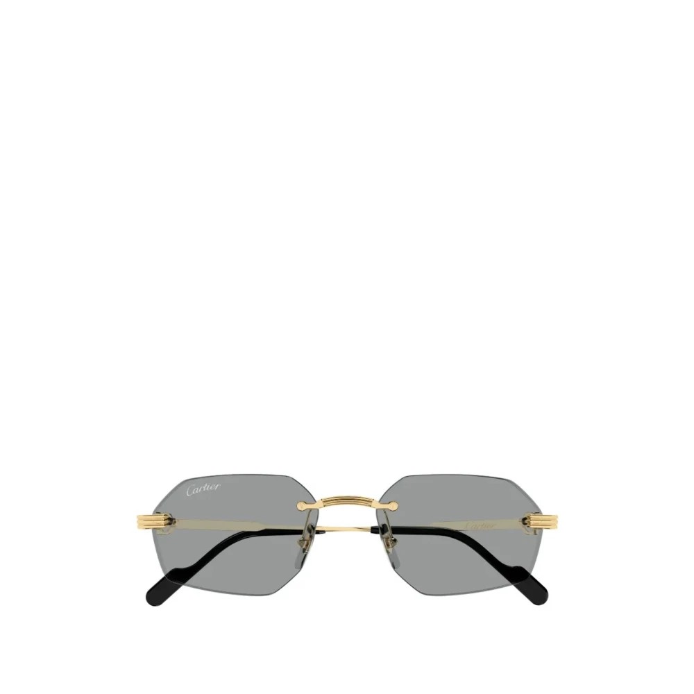 Cartier CT0616S-004 54mm