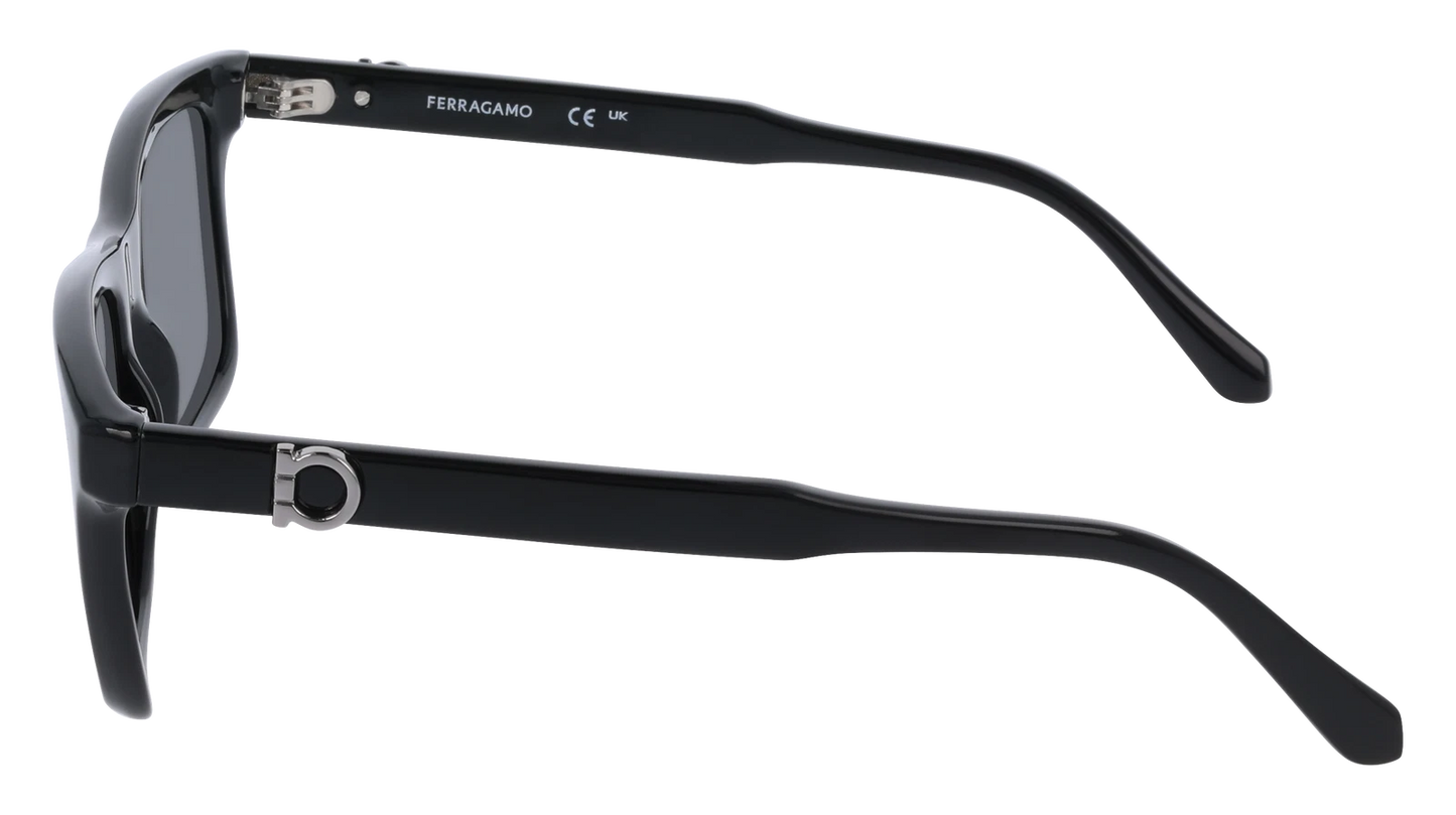 Salvatore Ferragamo SF2060SE-001-5517 55mm New Sunglasses