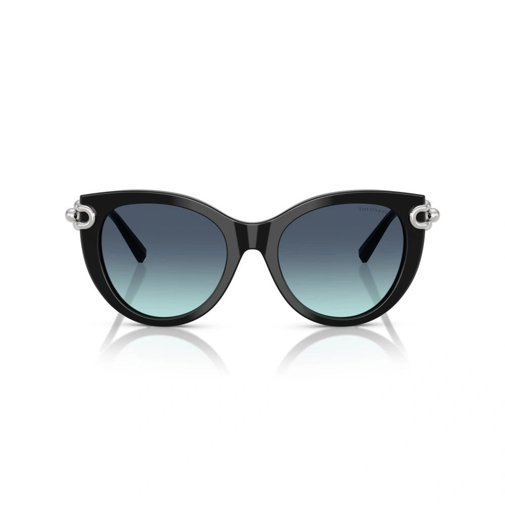 Tiffany & Co 0TF4232-80013C-53 53