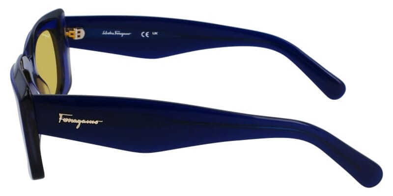 Salvatore Ferragamo SF1079S-435 54mm New Sunglasses