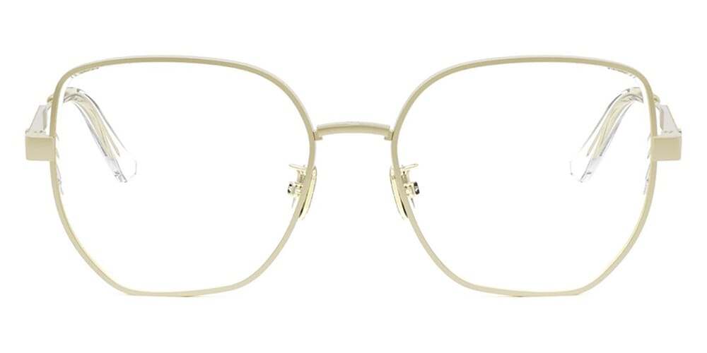 DIOR-CD50123U-54010/DIORCANNAGEO B2U