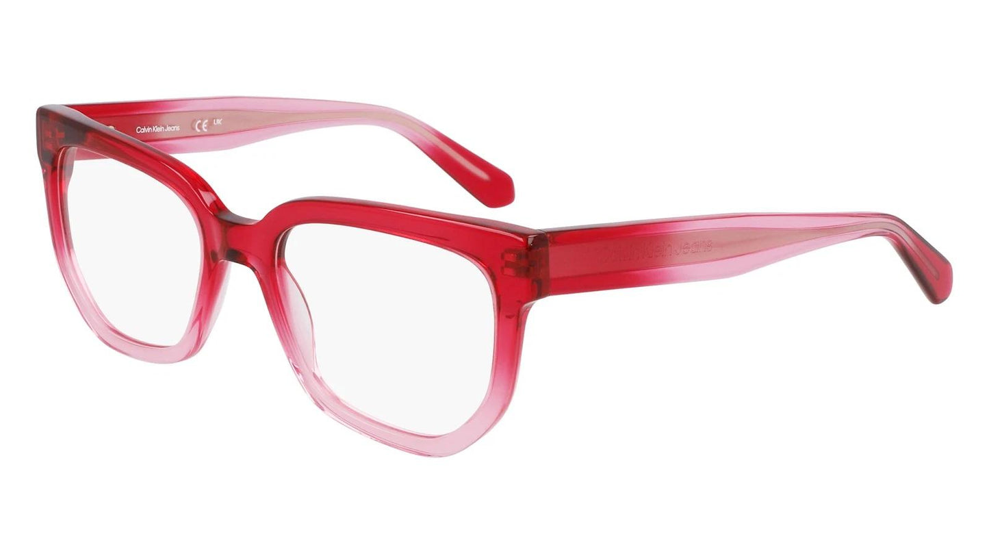 Calvin Klein CKJ24615-602-5319 53mm